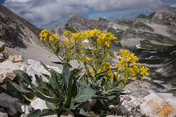 High altitude landscapes on the Abruzzo photography workshop